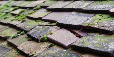 Ystrad Meurig roof repair costs